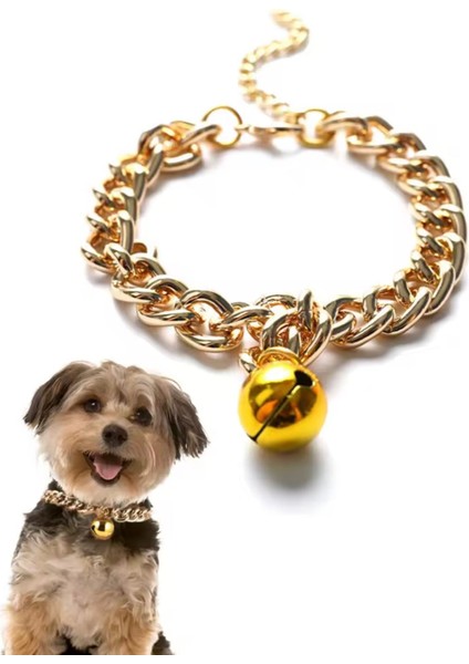 Altın Renkli Zincirli Kedi & Küçük Irk Köpek Tasması – 26 cm | Şık Metal Çıngıraklı Aksesuar fırsatları