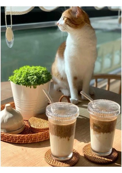 2 Adet 600 ml Mika Kapaklı Pipetli Origami Stil Mika Bardak | Sunum Bardağı Meşrubat Bardağı fiyatları