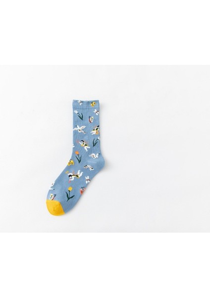 Dört Mevsimlik Çorap (Yurt Dışından) fiyatları