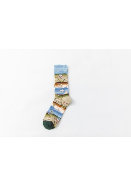 Dört Mevsimlik Çorap (Yurt Dışından) fırsatları