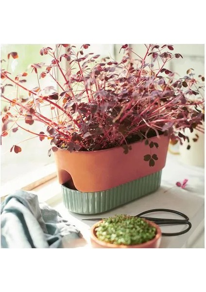 Daksjus Sulama Düzenekli Saksı Terakotta Yeşil 27 x 13 cm fiyatları