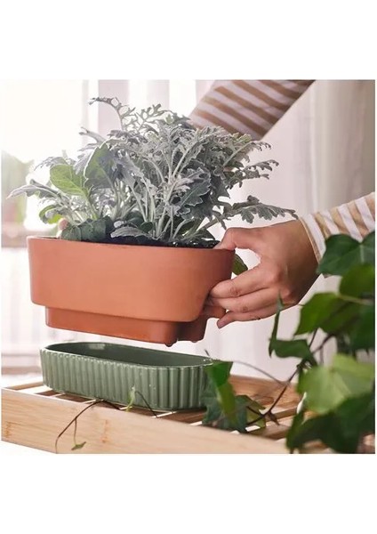 Daksjus Sulama Düzenekli Saksı Terakotta Yeşil 27 x 13 cm modelleri
