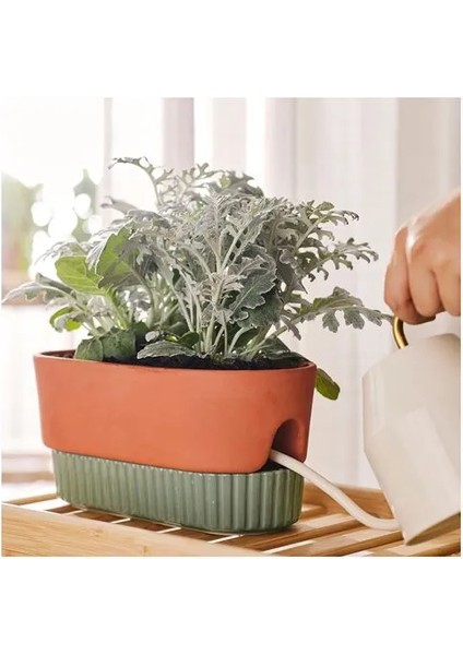 Daksjus Sulama Düzenekli Saksı Terakotta Yeşil 27 x 13 cm fırsatları