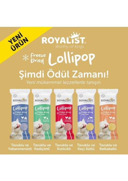 Lollipop Freeze-Dried Kedi Ödülü – 5'li Karma Paket