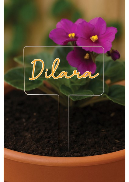 Kişiye Özel Isim Kelime Yazılı Uv Baskılı Şeffaf Dekoratif Pleksi Saksı Süsü - Dizayn 14