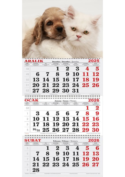 2026 Yılı Gemici Takvimi-Kedi ve Köpek Dostluğu