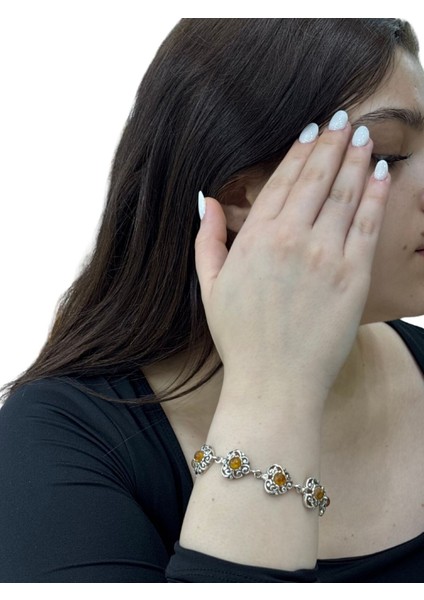 Amber Kalp Işıltısı-Kehribar Taşı Koleksiyonu fiyatları