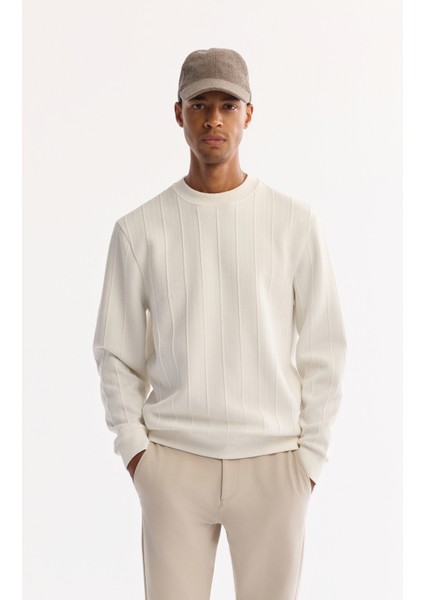 Erkek Ekru Bisiklet Yaka Çizgili Elastan Regular Fit Sweatshirt A52Y1218