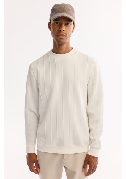 Erkek Ekru Bisiklet Yaka Çizgili Elastan Regular Fit Sweatshirt A52Y1218