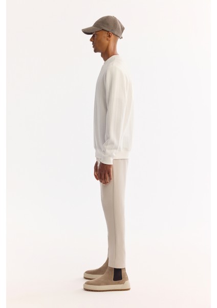 Erkek Ekru Bisiklet Yaka Çizgili Elastan Regular Fit Sweatshirt A52Y1218