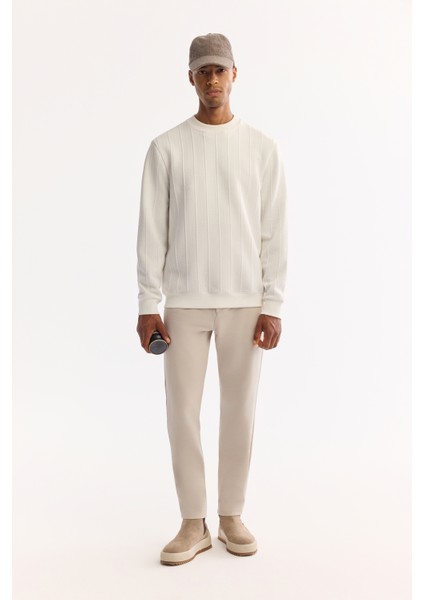 Erkek Ekru Bisiklet Yaka Çizgili Elastan Regular Fit Sweatshirt A52Y1218