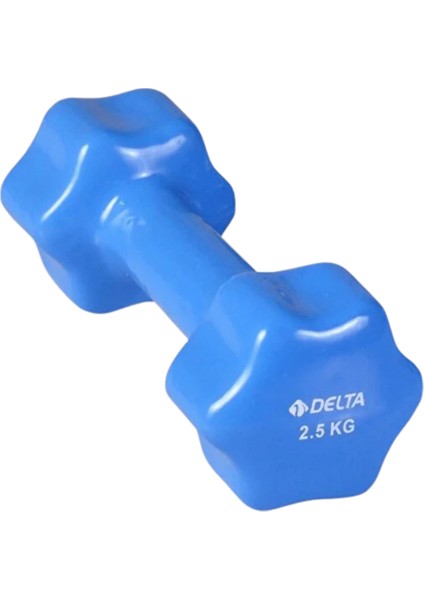 2,5 kg Pvc Dambıl Ağırlık