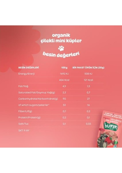Humm Organik Çilekli Glutensiz Vegan Mini Küpler 30 gr indirimleri