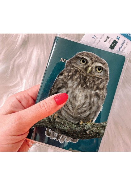 Tüm Ülke Pasaportları ile Uyumlu Şeffaf Pvc Baskılı Cepli Pasaport Kılıfı Kabı Baykuş