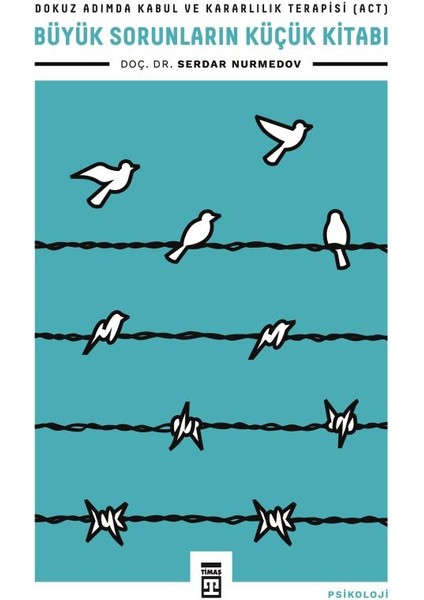 Büyük Sorunların Küçük Kitabı