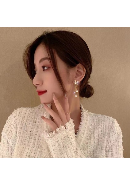 Model Tam Elmas Püskül Küpe (Yurt Dışından) fiyatları