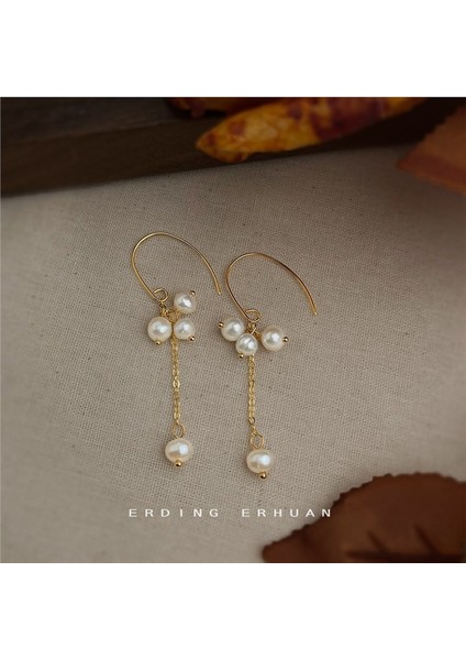 El Yapımı Küpe, Şık Yeni Model Aksesuar (Yurt Dışından) fiyatları