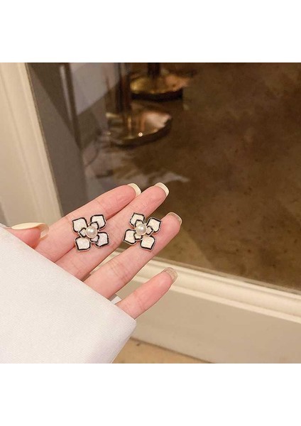 Niche, Li Tasarım Küpeler (Yurt Dışından) fiyatları