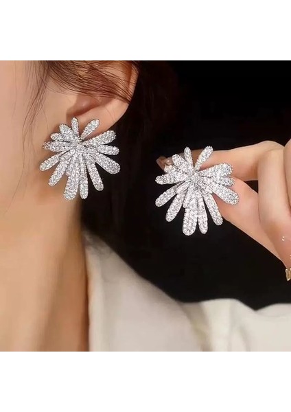 Lüks ve Zarif Küpe (Yurt Dışından)