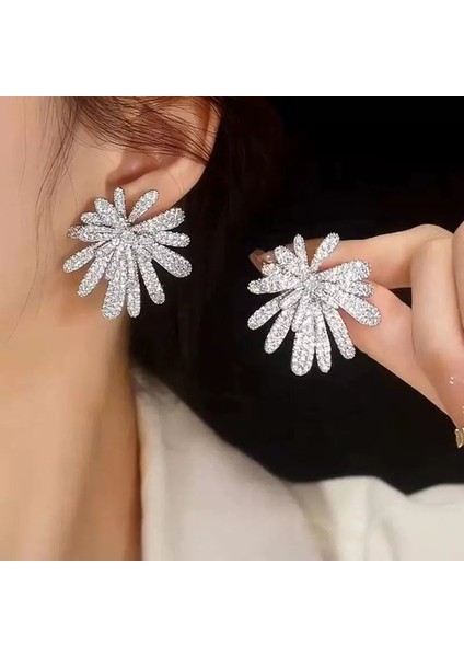 Lüks ve Zarif Küpe (Yurt Dışından) fiyatları