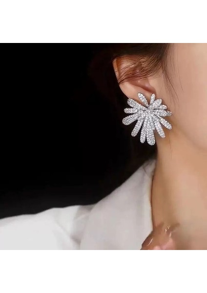 Lüks ve Zarif Küpe (Yurt Dışından) fırsatları