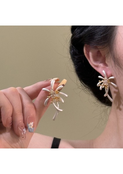 Yapay Elmaslı Kadın Küpesi (Yurt Dışından) fiyatları