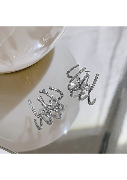 Gümüş Iğne Tam Elmas Küpe Kadın (Yurt Dışından)