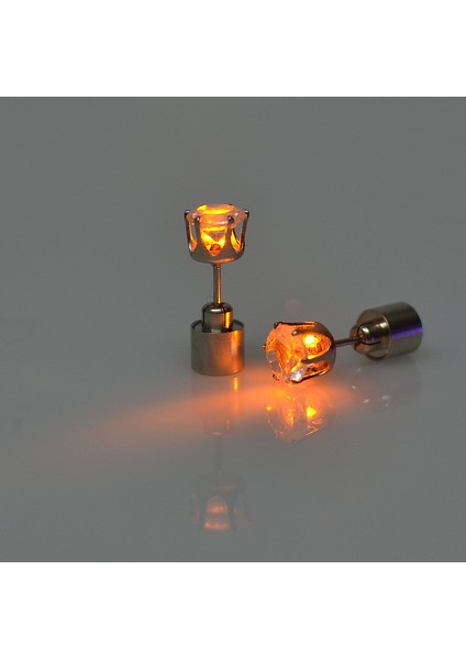 Parlayan Küpe (Yurt Dışından) fırsatları