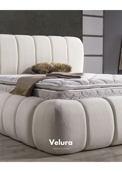 Polly Form Tek Kişilik Yatak Baza Başlık Seti (100 x 200)