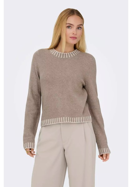 Kadın Onlfına Bisiklet Yaka Yünlü Örme Kazak 15350496 Vizon fiyatları