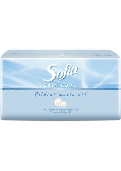 Skin Love Mendil 100'LÜ 2 Adet