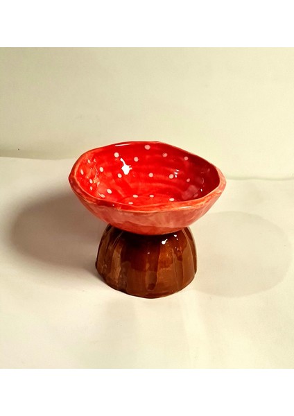 Mantar Kase Sunum Tabak Kase modelleri