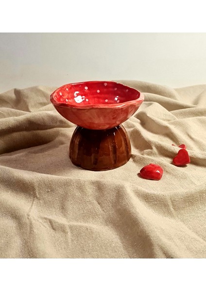 Mantar Kase Sunum Tabak Kase fırsatları