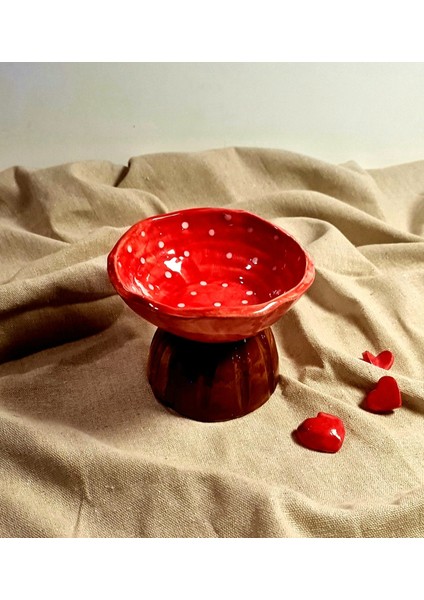 Mantar Kase Sunum Tabak Kase