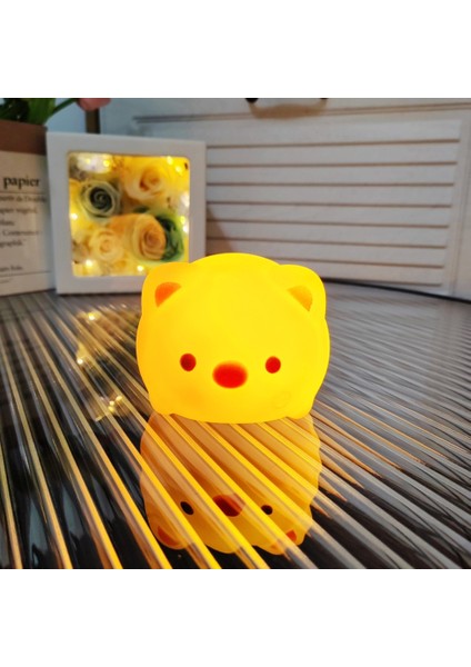 Işıklı Gece Lambası Doğum Günü Hediyesi (Yurt Dışından)