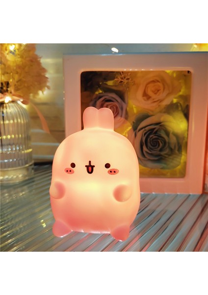 Işıklı Gece Lambası Doğum Günü Hediyesi (Yurt Dışından)