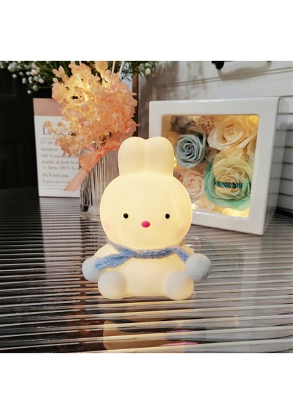 Işıklı Gece Lambası Doğum Günü Hediyesi (Yurt Dışından)