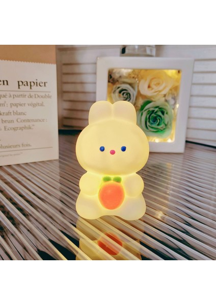 Işıklı Gece Lambası Doğum Günü Hediyesi (Yurt Dışından)