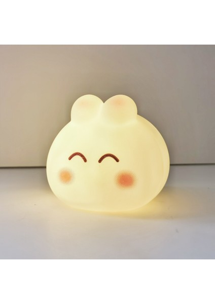 Işıklı Gece Lambası Doğum Günü Hediyesi (Yurt Dışından)