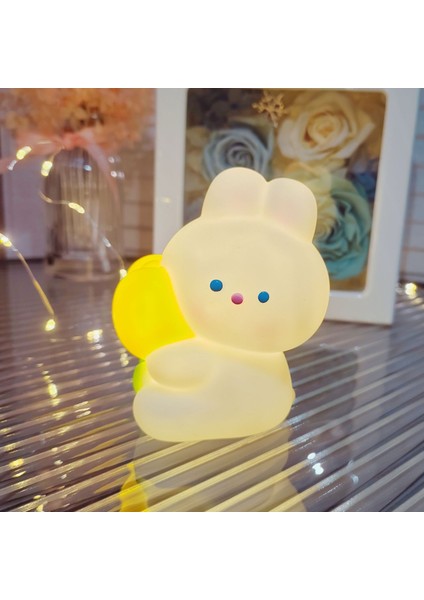 Işıklı Gece Lambası Doğum Günü Hediyesi (Yurt Dışından)