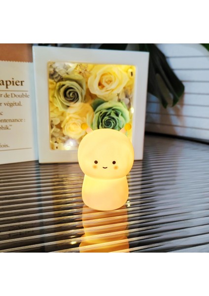 Işıklı Gece Lambası Doğum Günü Hediyesi (Yurt Dışından)