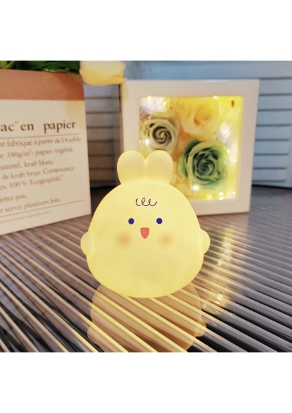 Işıklı Gece Lambası Doğum Günü Hediyesi (Yurt Dışından)