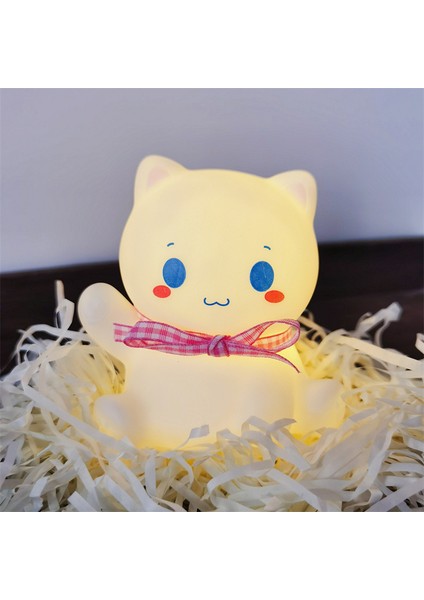 Işıklı Gece Lambası Doğum Günü Hediyesi (Yurt Dışından)