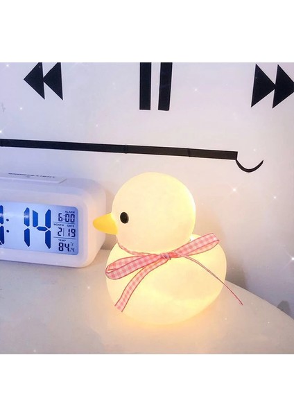 Işıklı Gece Lambası Doğum Günü Hediyesi (Yurt Dışından)