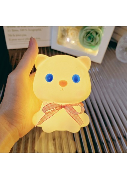 Işıklı Gece Lambası Doğum Günü Hediyesi (Yurt Dışından)