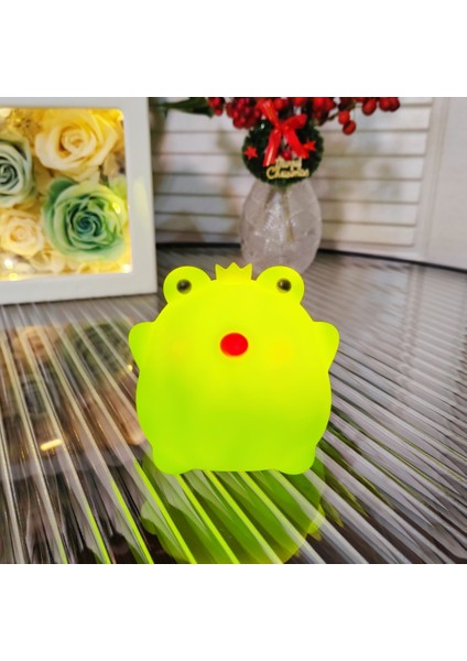 Işıklı Gece Lambası Doğum Günü Hediyesi (Yurt Dışından)