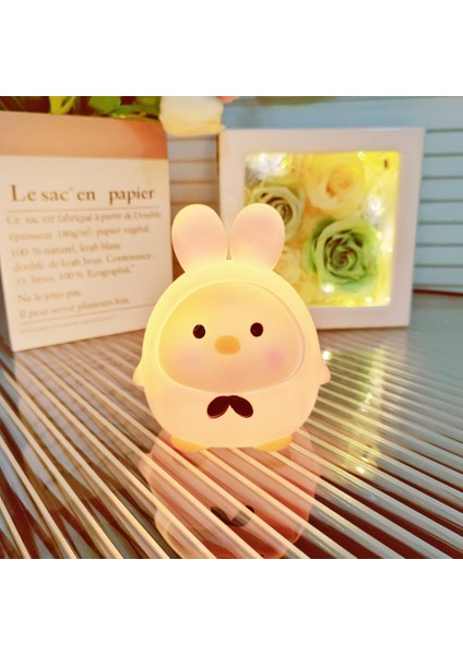 Işıklı Gece Lambası Doğum Günü Hediyesi (Yurt Dışından)