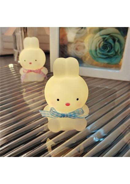 Işıklı Gece Lambası Doğum Günü Hediyesi (Yurt Dışından)