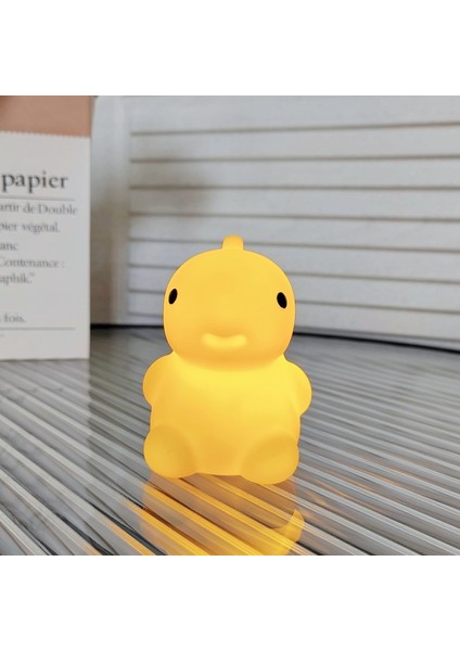 Işıklı Gece Lambası Doğum Günü Hediyesi (Yurt Dışından)