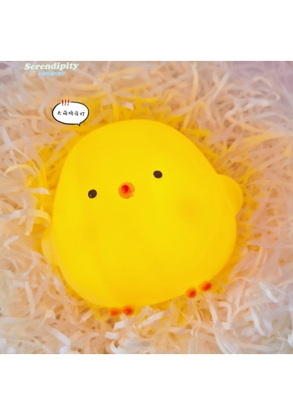 Işıklı Gece Lambası Doğum Günü Hediyesi (Yurt Dışından)